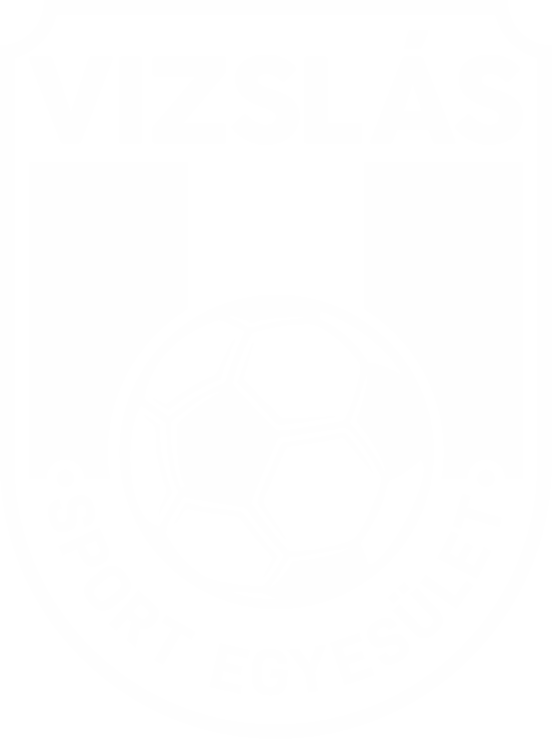 Vizslás SE logó