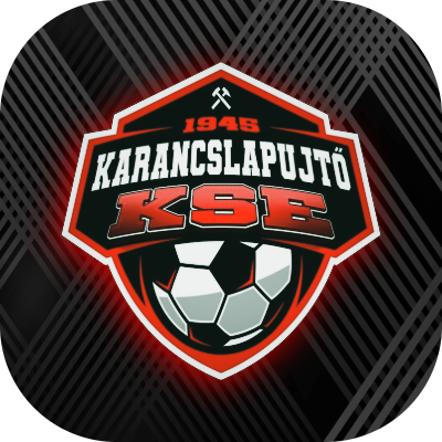 SILVER TÜZÉP KARANCSLAPUJTŐ
